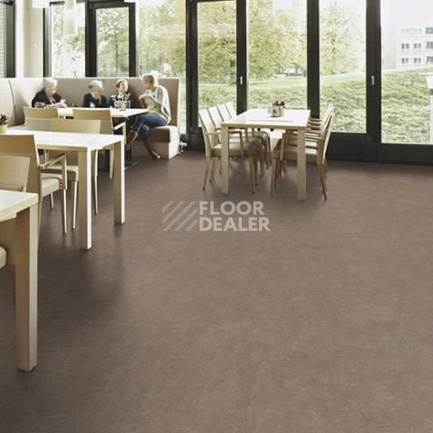 Forbo Marmoleum Decibel on Order 324635 shrike фото 2 | FLOORDEALER